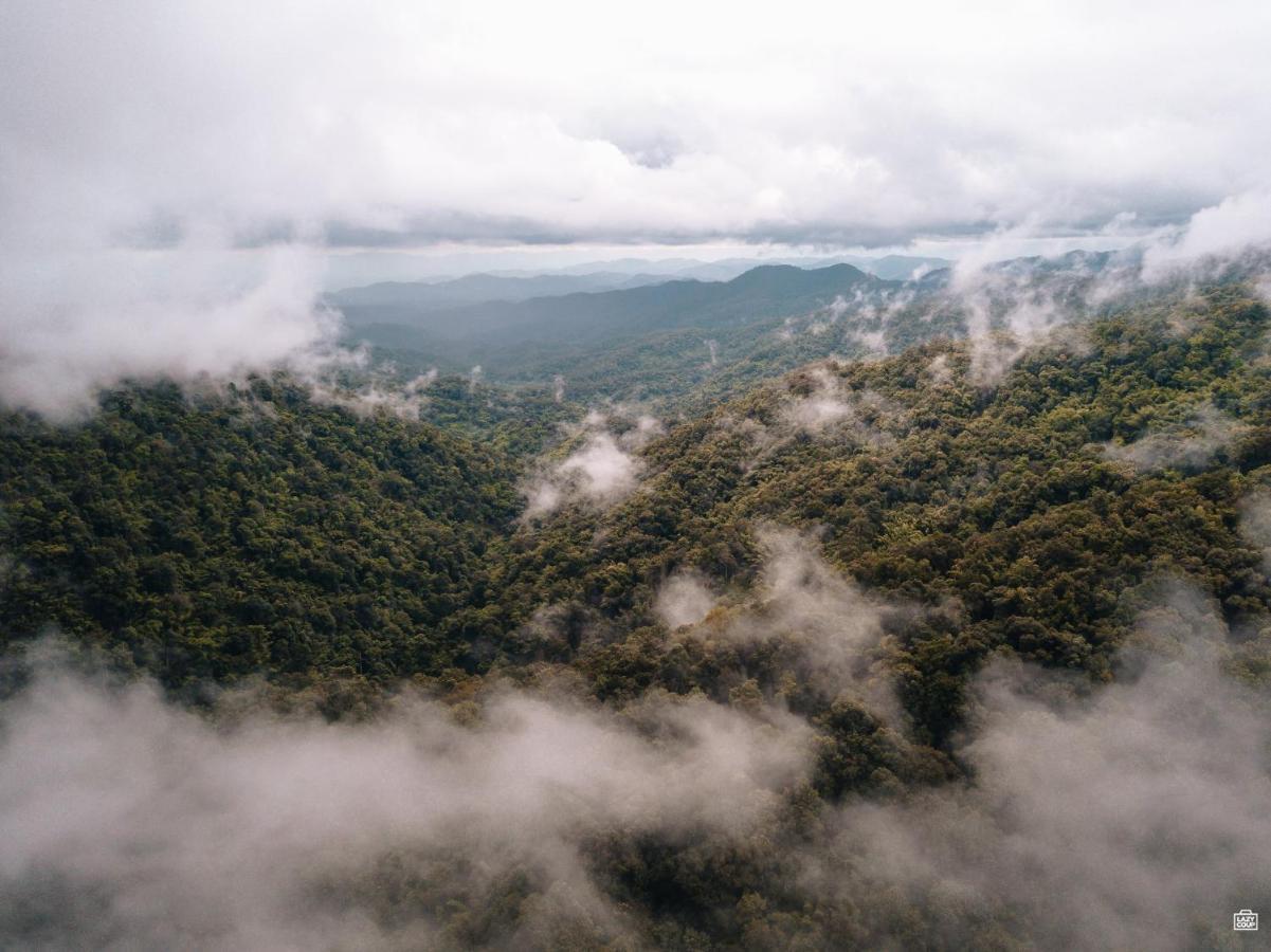 Lannawild Otel Chiang Mai Dış mekan fotoğraf