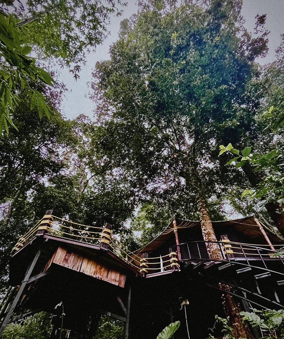 Lannawild Otel Chiang Mai Oda fotoğraf
