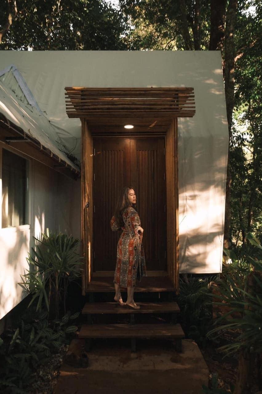 Lannawild Otel Chiang Mai Oda fotoğraf