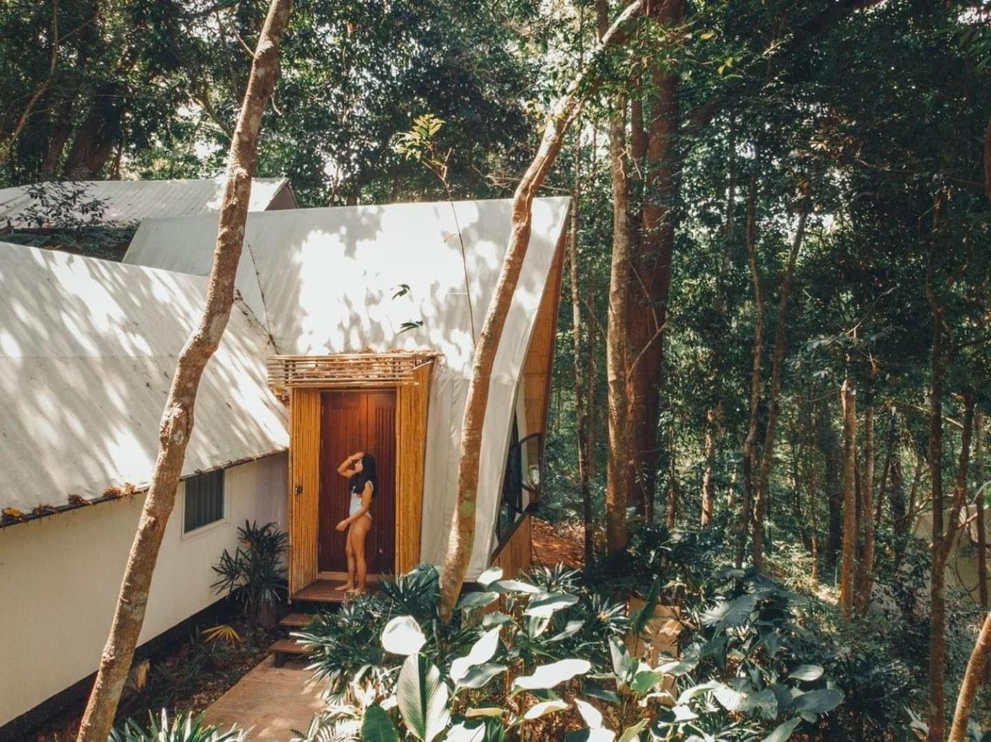 Lannawild Otel Chiang Mai Oda fotoğraf