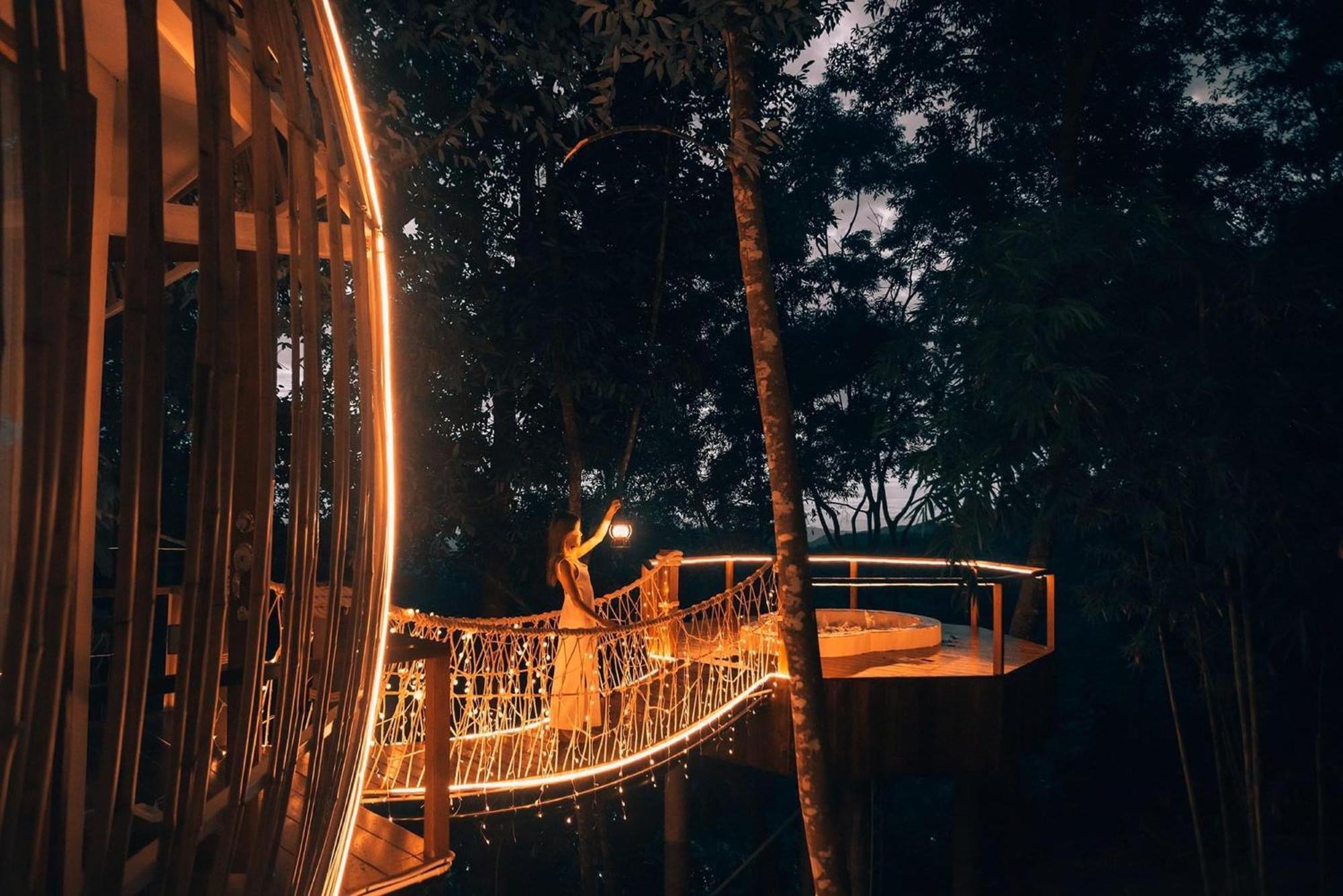 Lannawild Otel Chiang Mai Oda fotoğraf