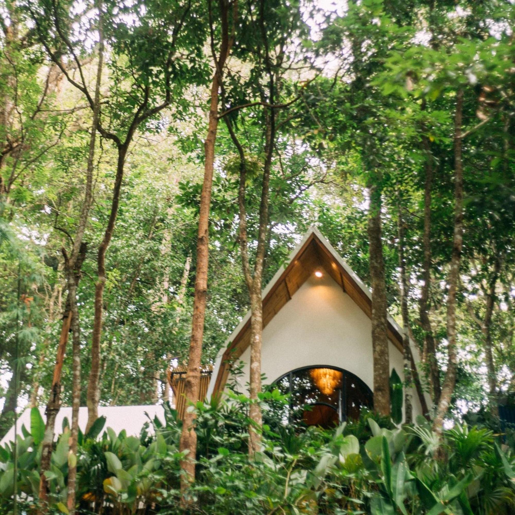 Lannawild Otel Chiang Mai Oda fotoğraf